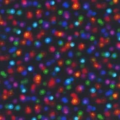 Robert Kaufman 108" Black Christmas Lights Extra Wide Fabric